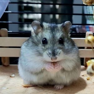 Meet your Posher, Xavier